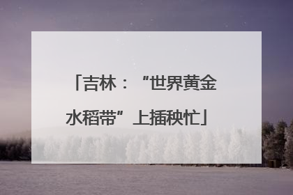 吉林：“世界黄金水稻带”上插秧忙