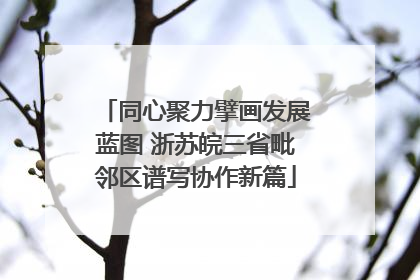 同心聚力擘画发展蓝图 浙苏皖三省毗邻区谱写协作新篇