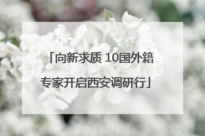 向新求质 10国外籍专家开启西安调研行