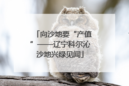 向沙地要“产值”——辽宁科尔沁沙地兴绿见闻