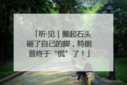 听·见｜搬起石头砸了自己的脚，特朗普终于“慌”了！
