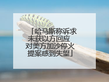 哈马斯称诉求未获以方回应 对美方加沙停火提案感到失望