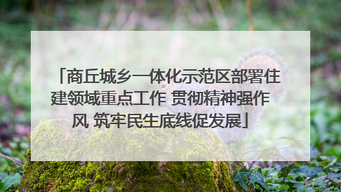 商丘城乡一体化示范区部署住建领域重点工作 贯彻精神强作风 筑牢民生底线促发展