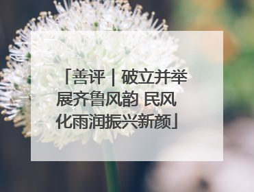 善评｜破立并举展齐鲁风韵 民风化雨润振兴新颜