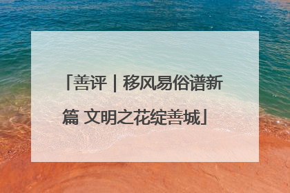 善评｜移风易俗谱新篇 文明之花绽善城
