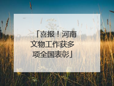 喜报！河南文物工作获多项全国表彰