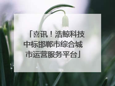 喜讯！浩鲸科技中标邯郸市综合城市运营服务平台