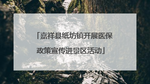 嘉祥县纸坊镇开展医保政策宣传进景区活动