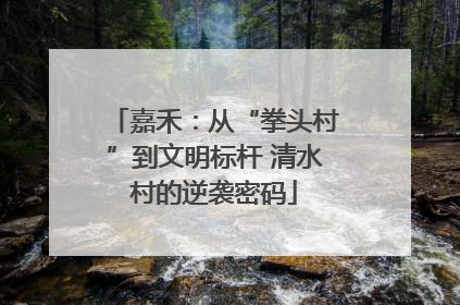 嘉禾：从“拳头村”到文明标杆 清水村的逆袭密码