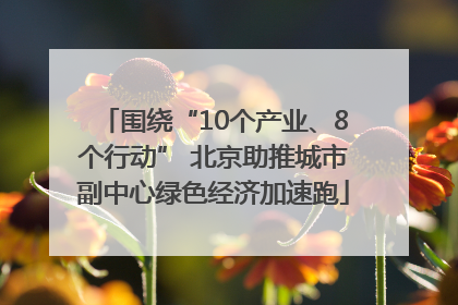 围绕“10个产业、8个行动” 北京助推城市副中心绿色经济加速跑
