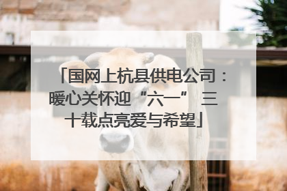 国网上杭县供电公司：暖心关怀迎“六一” 三十载点亮爱与希望