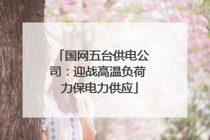 国网五台供电公司：迎战高温负荷 力保电力供应