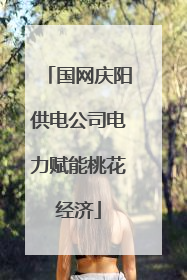 国网庆阳供电公司电力赋能桃花经济