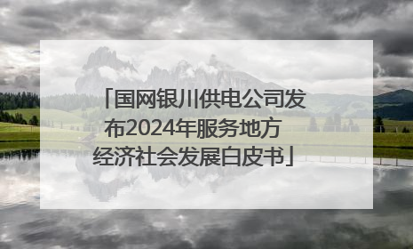 国网银川供电公司发布2024年服务地方经济社会发展白皮书