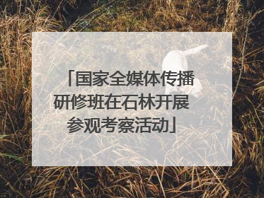 国家全媒体传播研修班在石林开展参观考察活动