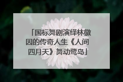 国标舞剧演绎林徽因的传奇人生《人间四月天》舞动鹭岛
