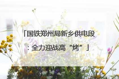 国铁郑州局新乡供电段：全力迎战高“烤”