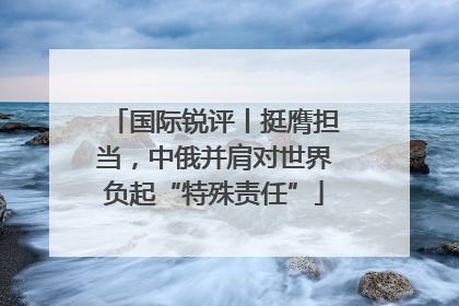 国际锐评丨挺膺担当，中俄并肩对世界负起“特殊责任”