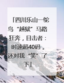 四川乐山一鸵鸟“越狱”马路狂奔，目击者：时速超40码，还对我“笑”了下