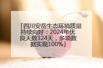 四川安岳生态环境质量持续向好：2024年优良天数324天，多项数据实现100%