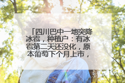四川巴中一地突降冰雹，种植户：有冰雹第二天还没化，原本葡萄下个月上市，现在全被打落
