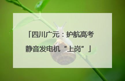 四川广元：护航高考 静音发电机“上岗”