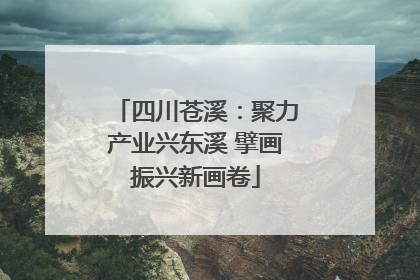 四川苍溪：聚力产业兴东溪 擘画振兴新画卷