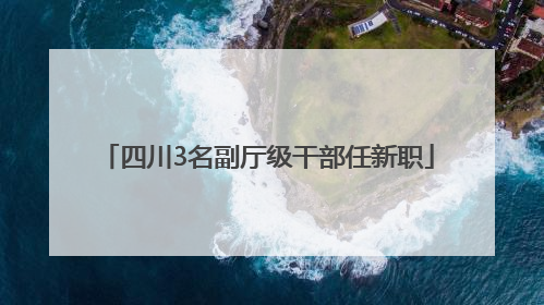 四川3名副厅级干部任新职