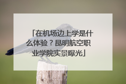 在机场边上学是什么体验？昆明航空职业学院实景曝光