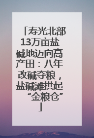 寿光北部13万亩盐碱地迈向高产田：八年改碱夺粮，盐碱滩拱起“金粮仓”
