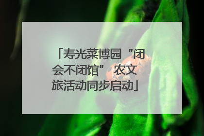 寿光菜博园“闭会不闭馆” 农文旅活动同步启动