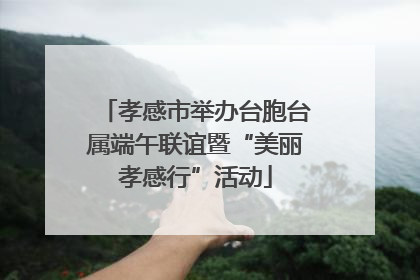 孝感市举办台胞台属端午联谊暨“美丽孝感行”活动