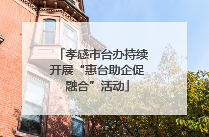 孝感市台办持续开展“惠台助企促融合”活动