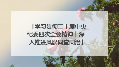 学习贯彻二十届中央纪委四次全会精神丨深入推进风腐同查同治