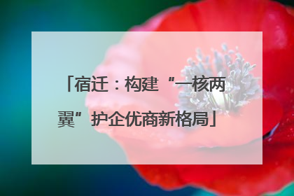 宿迁：构建“一核两翼”护企优商新格局