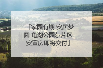 家园有期 安居梦圆 龟湖公园东片区安置房即将交付
