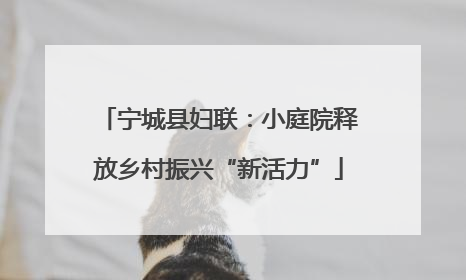 宁城县妇联：小庭院释放乡村振兴“新活力”