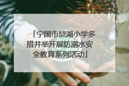 宁国市鼎湖小学多措并举开展防溺水安全教育系列活动