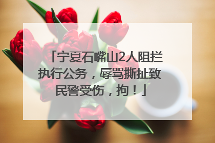 宁夏石嘴山2人阻拦执行公务，辱骂撕扯致民警受伤，拘！
