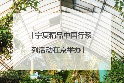 宁夏精品中国行系列活动在京举办