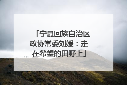 宁夏回族自治区政协常委刘媛：走在希望的田野上