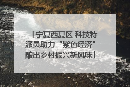宁夏西夏区 科技特派员助力“紫色经济”酿出乡村振兴新风味