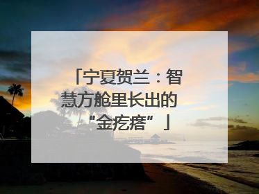 宁夏贺兰：智慧方舱里长出的“金疙瘩”