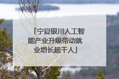 宁夏银川人工智能产业升级带动就业增长超千人