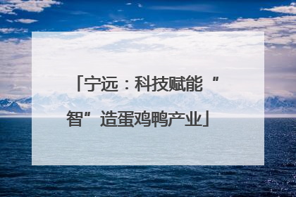 宁远：科技赋能“智”造蛋鸡鸭产业