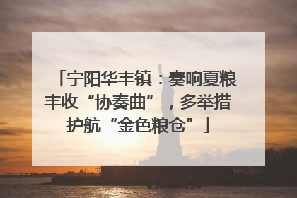 宁阳华丰镇：奏响夏粮丰收“协奏曲”，多举措护航“金色粮仓”