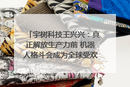 宇树科技王兴兴：真正解放生产力前 机器人格斗会成为全球受欢迎的赛事｜科技观察