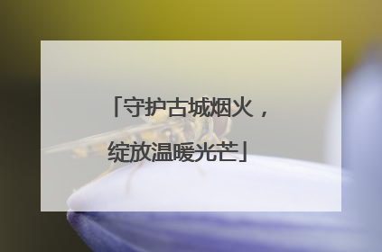 守护古城烟火，绽放温暖光芒