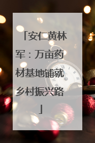 安仁黄林军：万亩药材基地铺就乡村振兴路