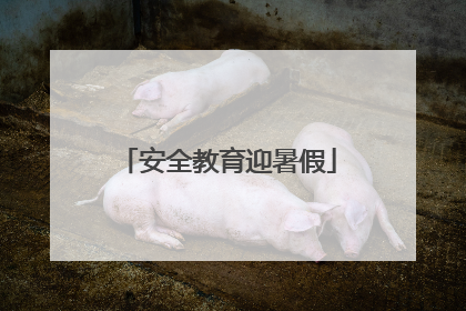 安全教育迎暑假